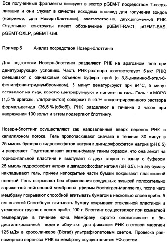 Новые последовательности нуклеиновых кислот и их применение в способах достижения устойчивости к патогенам в растениях (патент 2346985)