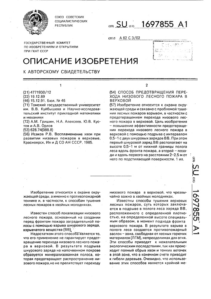 Способ предотвращения перехода низового лесного пожара в верховой (патент 1697855)