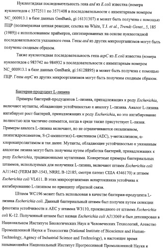 Способ получения l-треонина с использованием бактерии, принадлежащей к роду escherichia, обладающей усиленной экспрессией оперона fucpikur (патент 2318870)