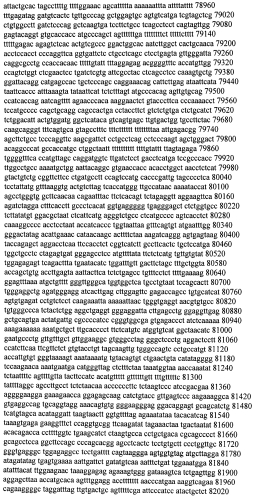 Модуляция экспрессии гентингтина (патент 2562861)