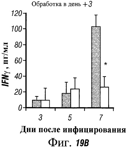Антитела против g-белка распираторно-синцитиального вируса (rsv) (патент 2526517)