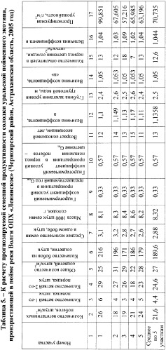 Способ прогнозирования семенной продуктивности солодки (патент 2364078)