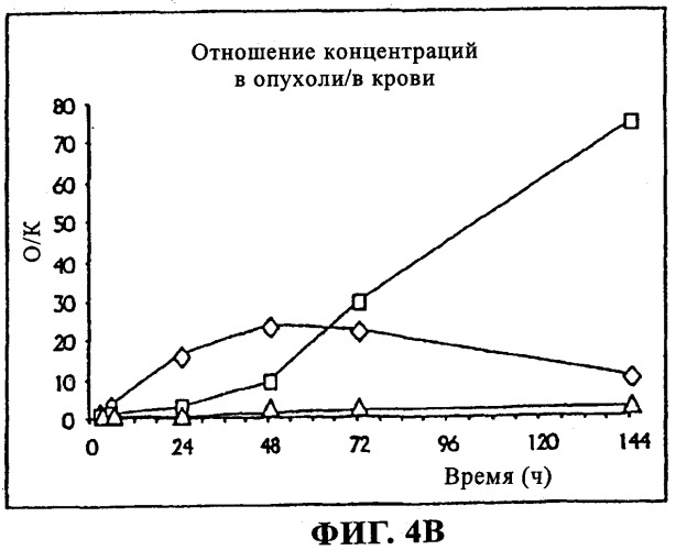 Избирательный направленный перенос в сосудистую сеть опухоли с использованием молекул антител (патент 2347787)