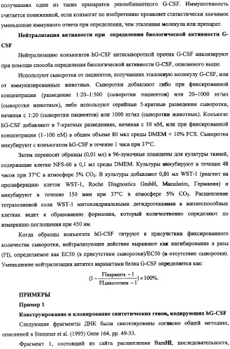 Конъюгаты g-csf (патент 2307126)