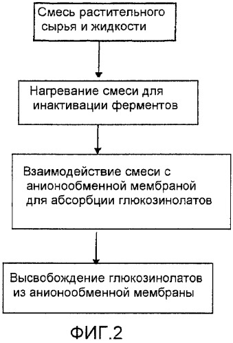 Получение глюкозинолатов из сельскохозяйственных побочных продуктов и отходов (патент 2466567)