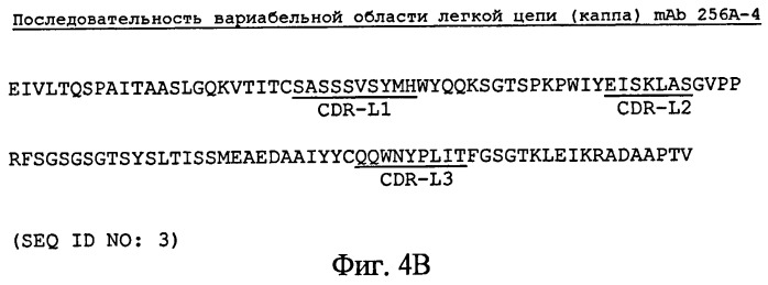 Антитела-антагонисты против notch3 и их применение для профилактики и лечения связанных с notch3 заболеваний (патент 2493167)