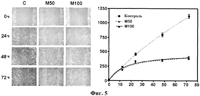 Альфа-производные цис-мононенасыщенных жирных кислот, предназначенные для применения в качестве лекарственного средства (патент 2531353)