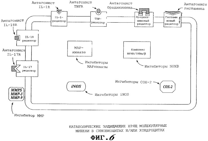 Растворы и способы ингибирования боли, воспаления и разрушения хряща (патент 2271825)