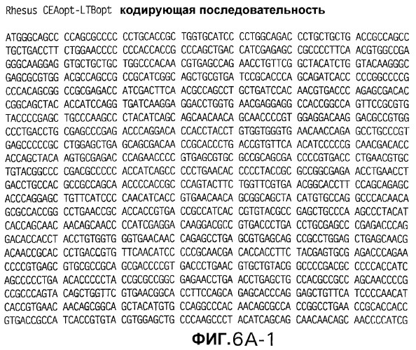 Слитые белки карциноэмбрионального антигена (патент 2380375)