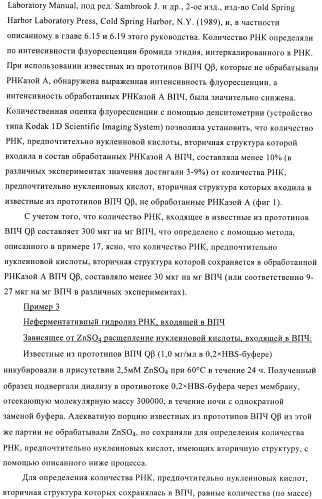 Конъюгаты впч-антиген и их применение в качестве вакцин (патент 2417793)