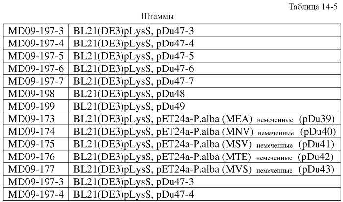 Варианты изопренсинтазы, применяемые для улучшения продуцирования изопрена микроорганизмами (патент 2516343)