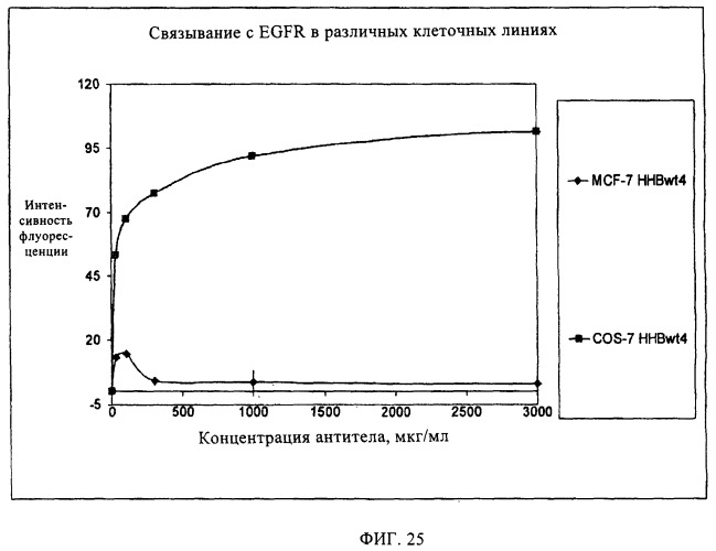 Антигенсвязывающие молекулы, которые связывают egfr, кодирующие их векторы и их применение (патент 2488597)