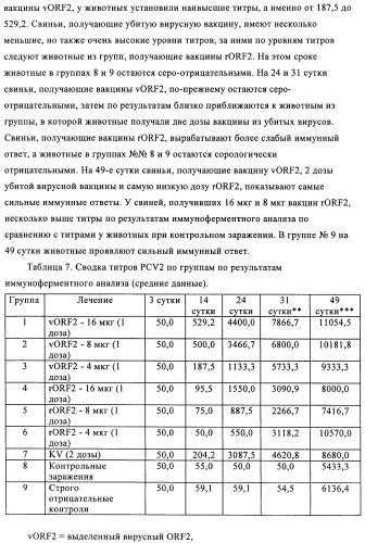 Поливалентные иммуногенные композиции pcv2 и способы получения таких композиций (патент 2488407)