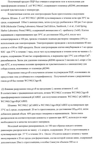 Способ получения l-аминокислот с использованием бактерии, принадлежащей к роду escherichia, в которой инактивирован один или несколько генов, кодирующих малые рнк (патент 2395567)