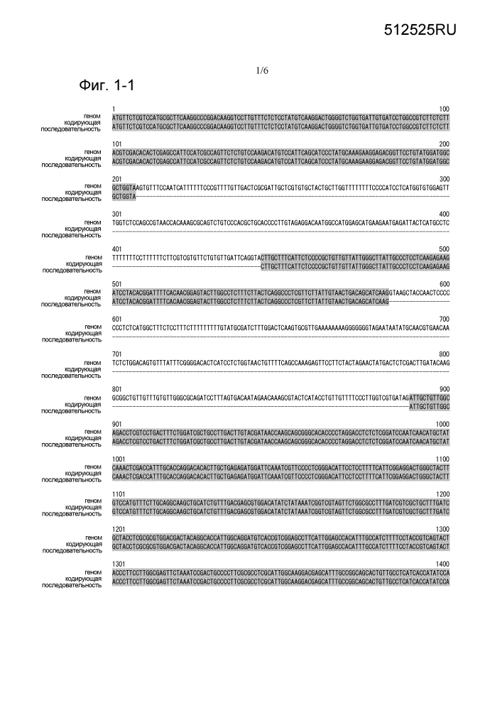 Ген фосфатазы фосфатидной кислоты (патент 2625025)
