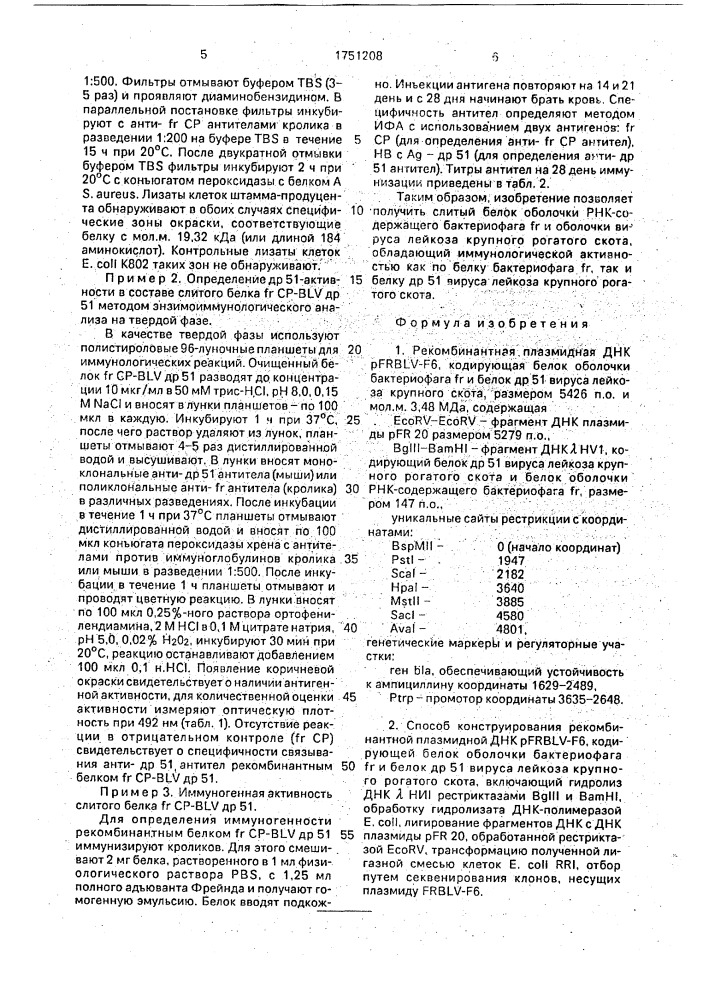 Рекомбинантная плазмидная днк pfrblv - f6, кодирующая белок оболочки бактериофага @ и белок @ 51 вируса лейкоза крупного рогатого скота, способ ее конструирования и штамм бактерий еsснеriснiа coli - продуцент белка оболочки бактериофага @ и белка @ 51 вируса лейкоза крупного рогатого скота (патент 1751208)