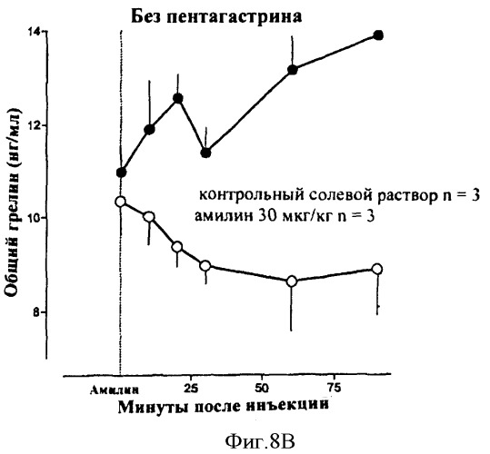 Пептид, обладающий свойствами амилина (варианты), и его применение (варианты) (патент 2385878)