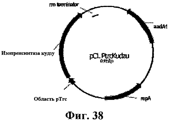 Композиции и способы получения изопрена (патент 2545699)