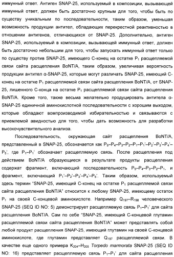 Иммунологические анализы активности ботулинического токсина серотипа а (патент 2491293)