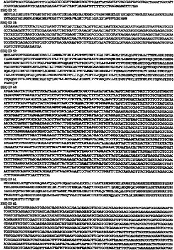 Иммунизация против chlamydia trachomatis (патент 2331435)