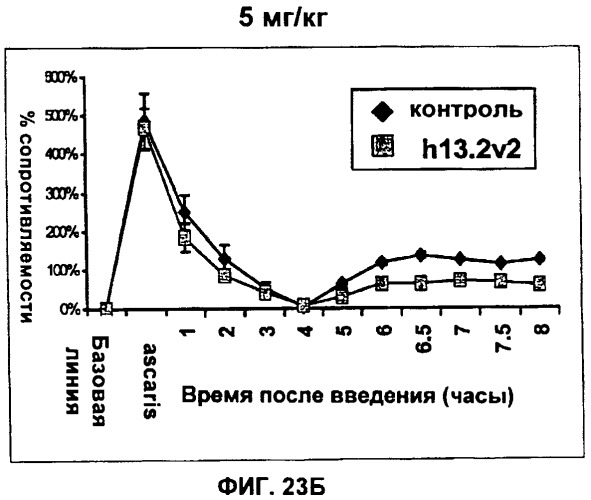 Антитела против интерлейкина-13 человека и их применение (патент 2427589)