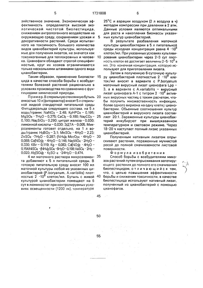 Способ борьбы с возбудителем микозов растений (патент 1731808)