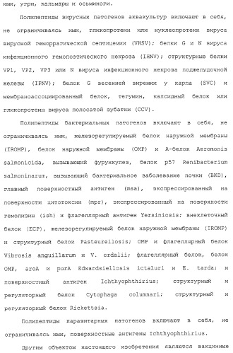 Композиции, содержащие cpg-олигонуклеотиды и вирусоподобные частицы, для применения в качестве адъювантов (патент 2322257)