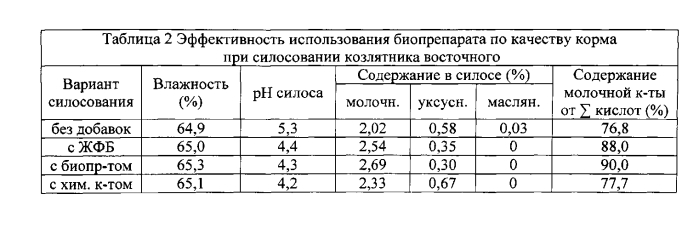 Способ получения биопрепарата для кормопроизводства (патент 2557191)