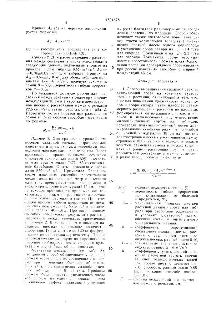 Способ выращивания сахарной свеклы (патент 1531878)