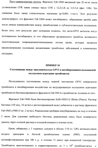 Антитела к гликопротеину vi и способы продуцирования и использования этих антител (патент 2407752)