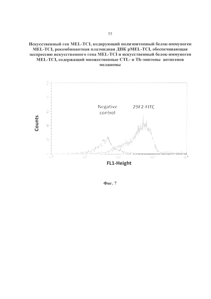 Искусственный ген mel-tci, кодирующий полиэпитопный белок-иммуноген mel-tci, рекомбинантная плазмидная днк pmel-tci, обеспечивающая экспрессию искусственного гена mel-tci и искусственный белок-иммуноген mel-tci, содержащий ctl- и th-эпитопы антигенов меланомы, рестриктированные множественными аллелями hla i и ii класса (патент 2650872)
