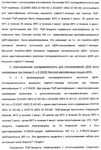 Выделенный полипептид, связывающий рецептор zalpha11-лиганда (варианты), кодирующий его полинуклеотид (варианты), вектор экспрессии (варианты) и клетка-хозяин (варианты) (патент 2346951)