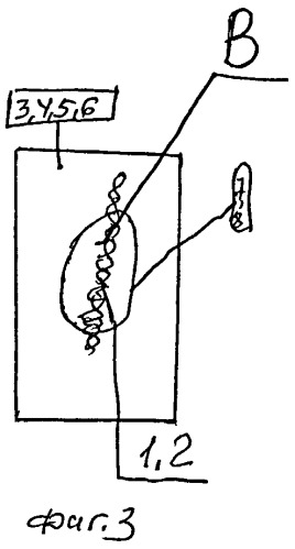 Способ маркировки невидимой нитью савиновского в.г. (патент 2498905)
