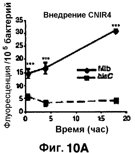 Применение бактериальной бета-лактамазы для диагностики in vitro и визуализации, диагностики и лечения in vivo (патент 2520661)