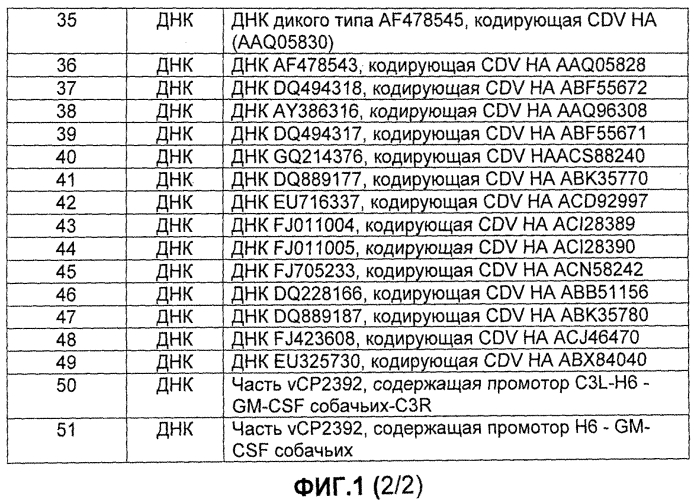 Композиции рекомбинантного cdv и ее применение (патент 2567337)