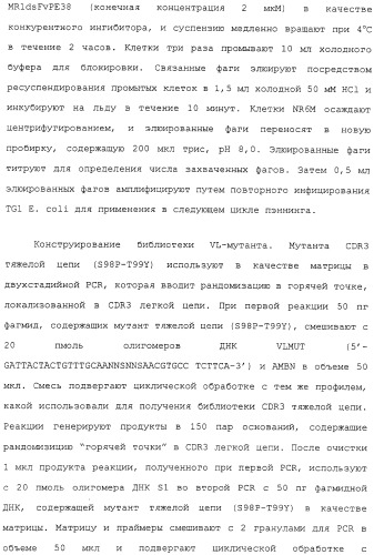 Scfv против egfrviii с улучшенной цитотоксичностью и выходом, иммунотоксины на их основе и способы их применения (патент 2317999)