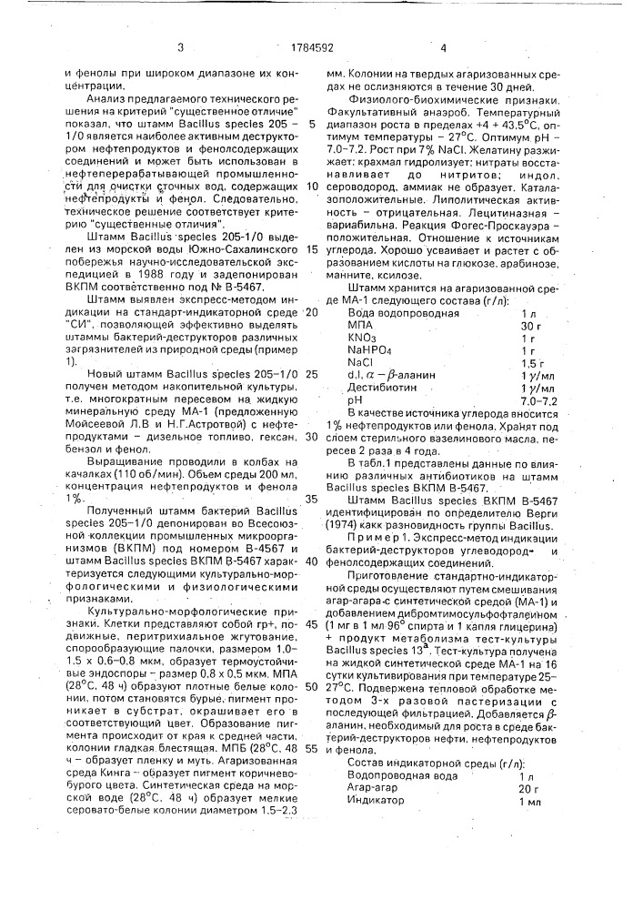 Штамм бактерий bacillus species - деструктор нефтепродуктов и фенолсодержащих соединений (патент 1784592)