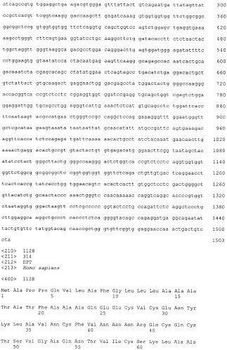 Pscaxcd3, cd19xcd3, c-metxcd3, эндосиалинxcd3, epcamxcd3, igf-1rxcd3 или fap-альфаxcd3 биспецифическое одноцепочечное антитело с межвидовой специфичностью (патент 2547600)
