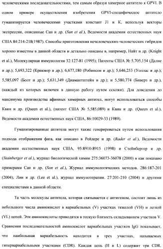 Антитела к гликопротеину vi и способы продуцирования и использования этих антител (патент 2407752)