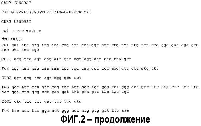 Молекула, специфически связывающаяся с rsv (патент 2540020)