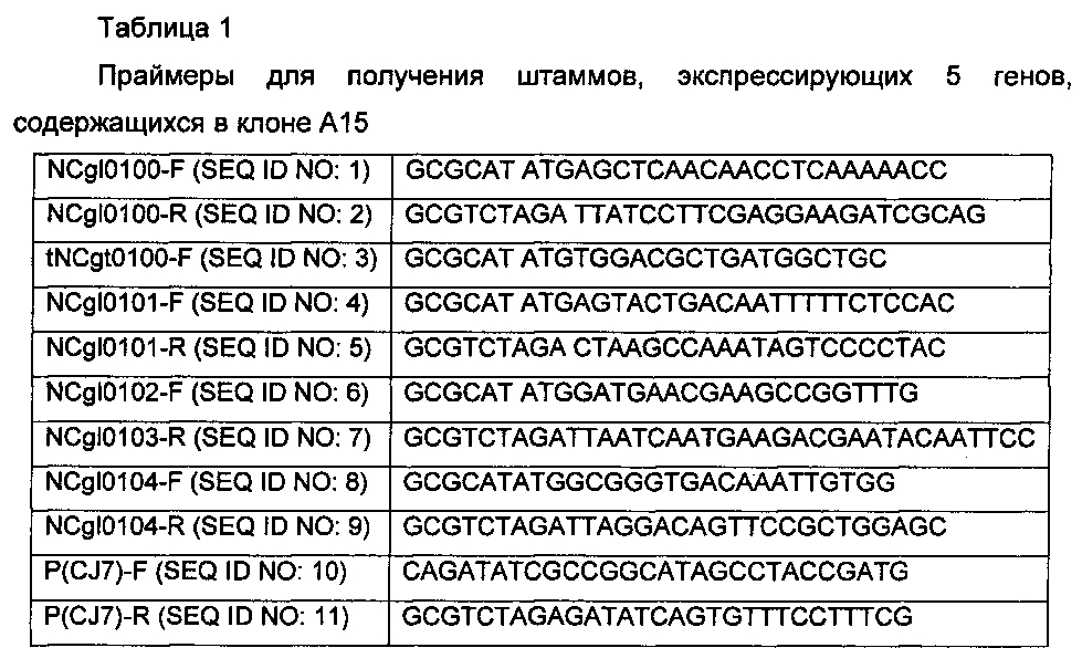 Рекомбинантный микроорганизм, обладающий повышенной способностью продуцировать путресцин, и способ получения путресцина с использованием этого микроорганизма (патент 2603089)