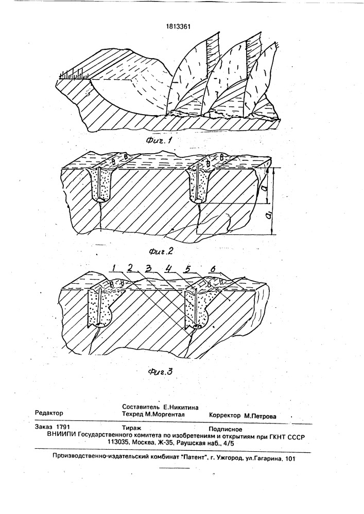 Способ возделывания риса (патент 1813361)