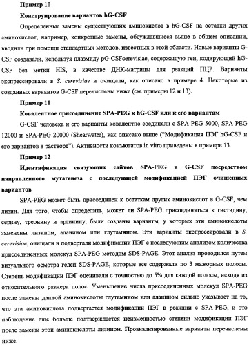 Конъюгаты g-csf (патент 2307126)