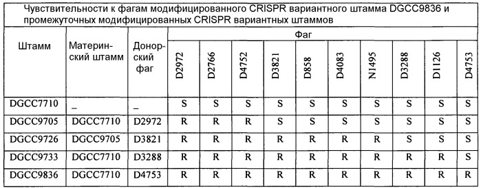 Способ генерирования заквасочной культуры, заквасочная культура и способ ферментации с ее использованием (патент 2531343)