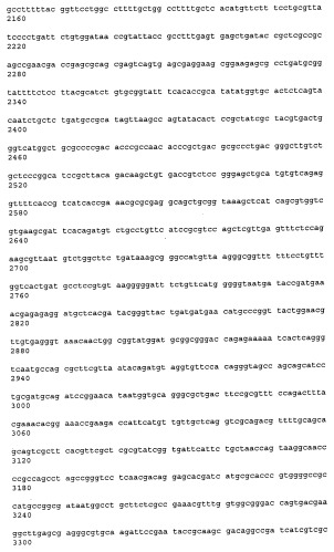 Антитела к рецептору конечных продуктов глубокого гликирования (rage) и их применения (патент 2518351)