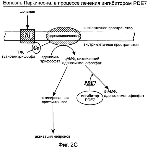 Использование ингибиторов pde7 для лечения нарушений движения (патент 2449790)