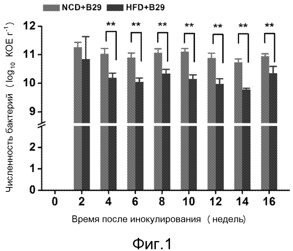 Способ получения модели ожирения животного (патент 2644204)