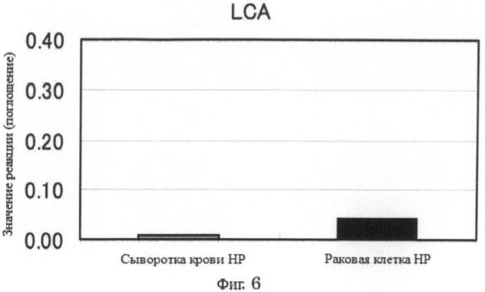 Способ диагностики рака поджелудочной железы (патент 2533219)