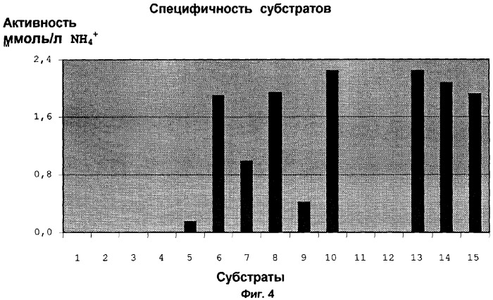 Нитрилаза из rhodococcus rhodochrous ncimb 11216 (патент 2283864)