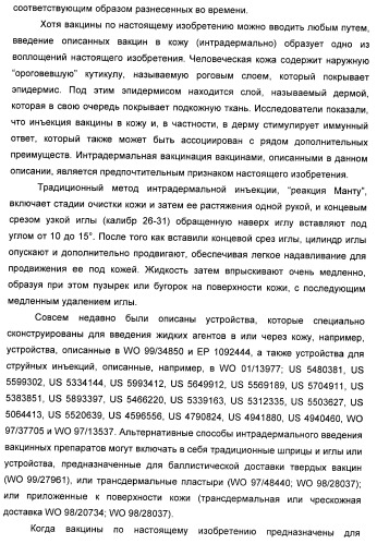 Иммуногенная композиция для применения в вакцинации против стафилококков (патент 2419628)